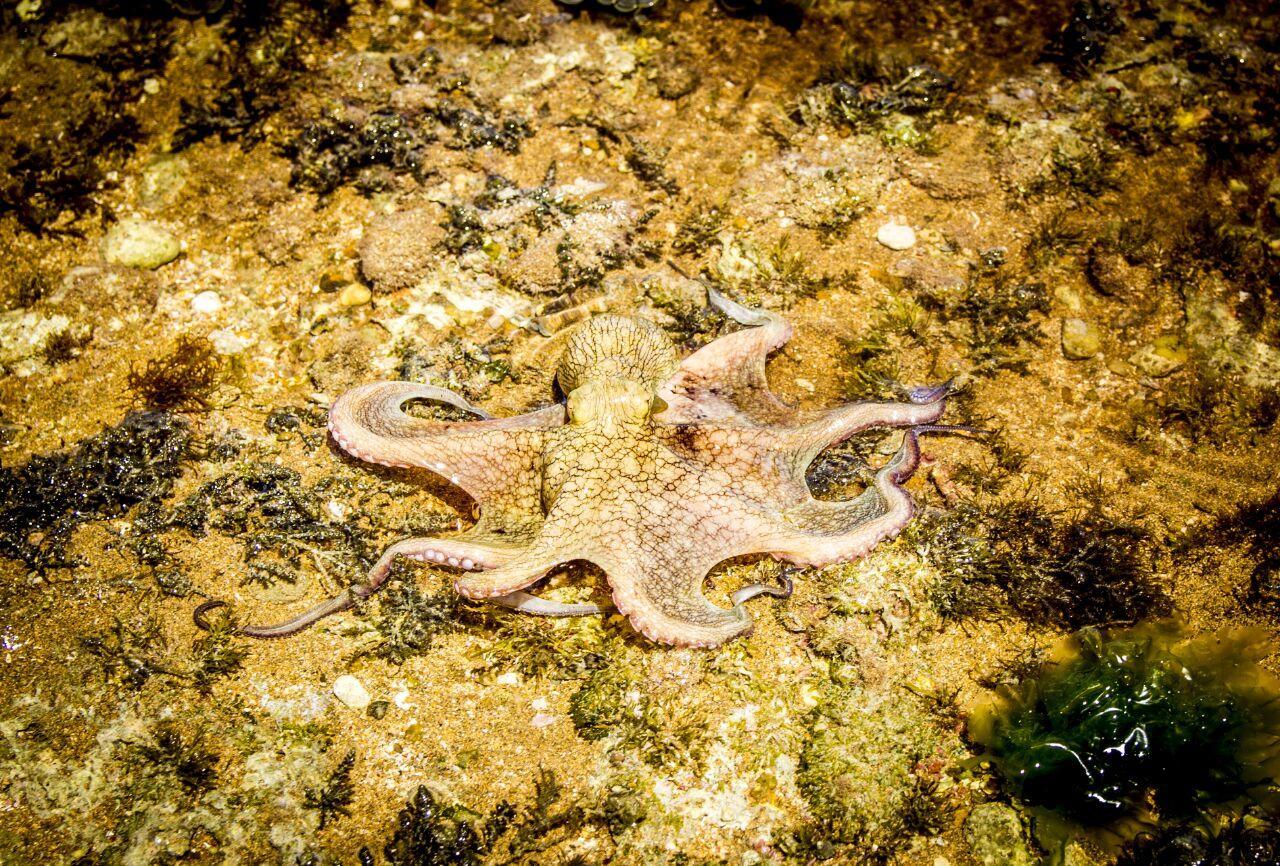 Caboco Sonhado Passeios Nauticos E Pousada Мундау Экстерьер фото